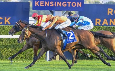 Stop Press, Smart’s Eyeing Kosciuszko For Sprint Recruit
